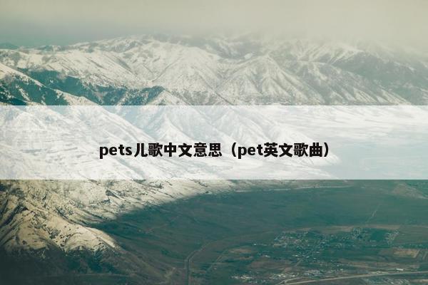 pets儿歌中文意思（pet英文歌曲）