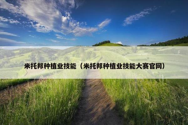 米托邦种植业技能（米托邦种植业技能大赛官网）
