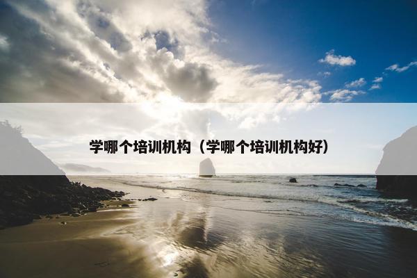 学哪个培训机构（学哪个培训机构好）