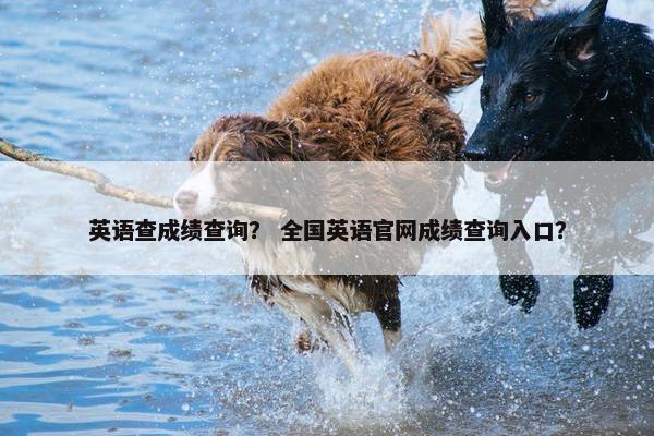英语查成绩查询？ 全国英语官网成绩查询入口？