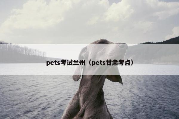 pets考试兰州（pets甘肃考点）