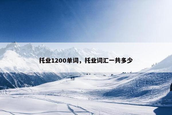 托业1200单词，托业词汇一共多少