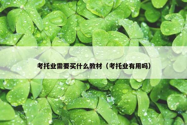 考托业需要买什么教材（考托业有用吗）