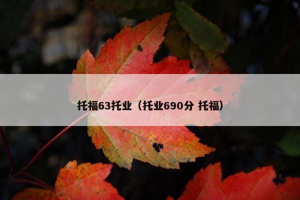 托福63托业（托业690分 托福）