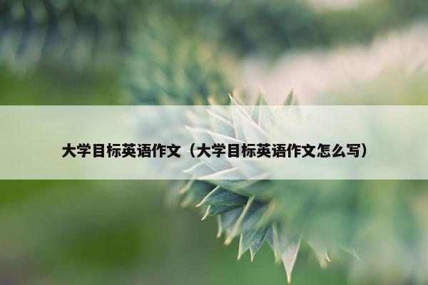 大学目标英语作文（大学目标英语作文怎么写）