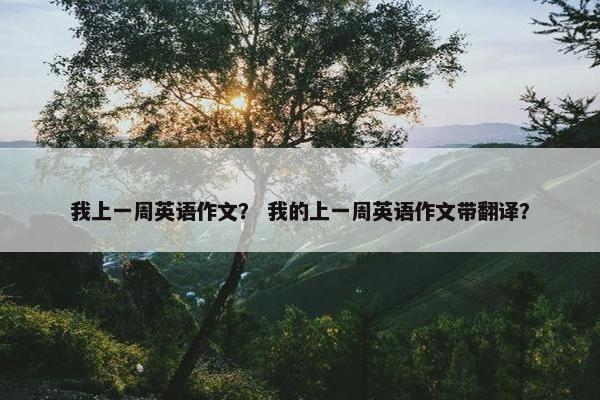 我上一周英语作文？ 我的上一周英语作文带翻译？