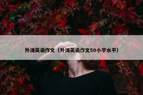 外滩英语作文（外滩英语作文50小学水平）