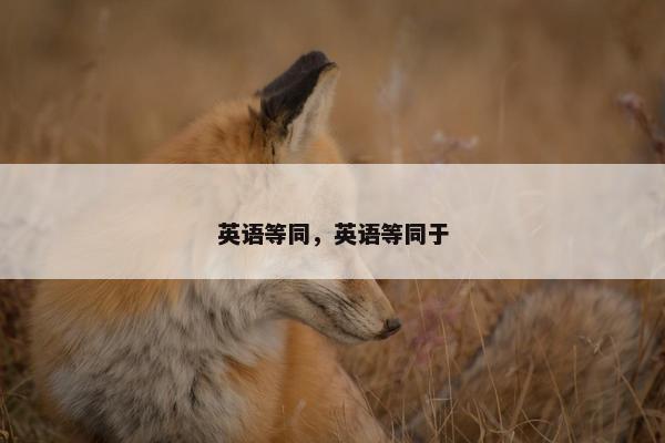 英语等同，英语等同于