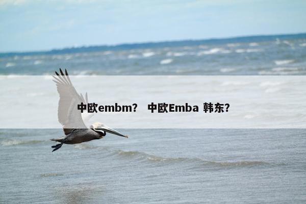 中欧embm？ 中欧Emba 韩东？