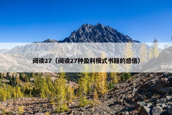 阅读27（阅读27种盈利模式书籍的感悟）