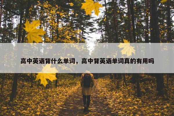 高中英语背什么单词，高中背英语单词真的有用吗