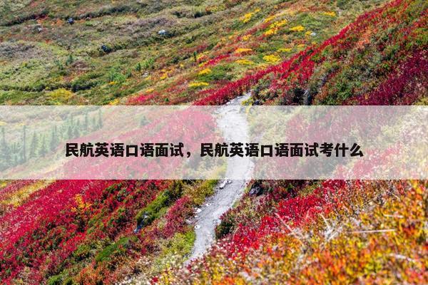 民航英语口语面试，民航英语口语面试考什么