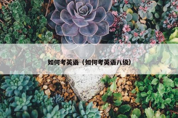 如何考英语（如何考英语八级）