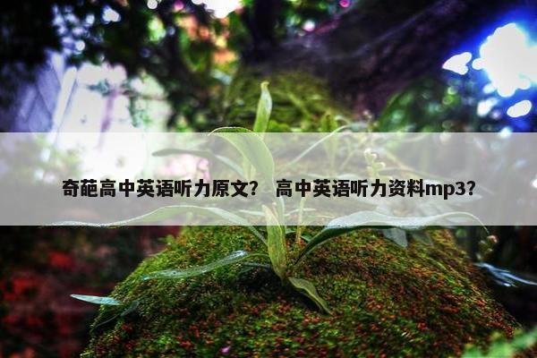 奇葩高中英语听力原文？ 高中英语听力资料mp3？