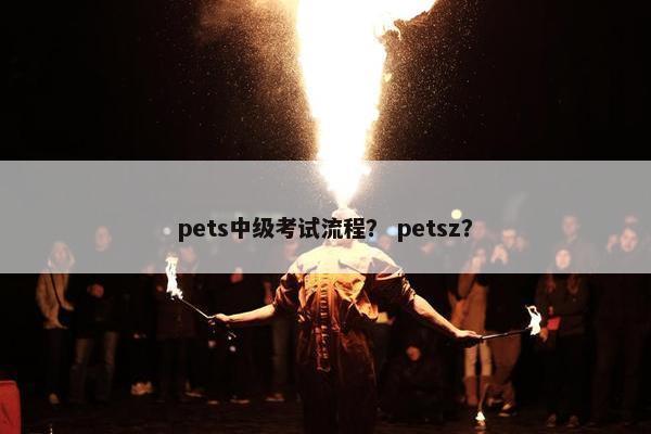 pets中级考试流程？ petsz？