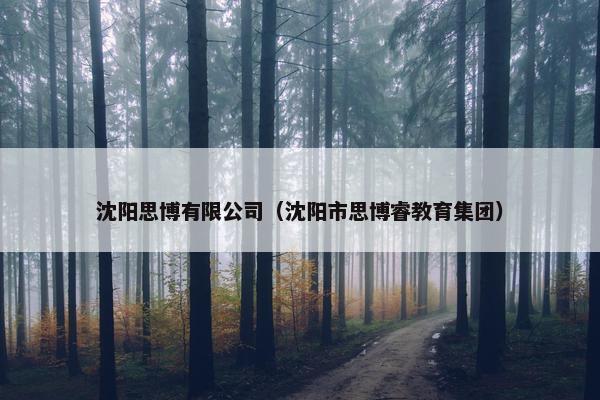 沈阳思博有限公司（沈阳市思博睿教育集团）