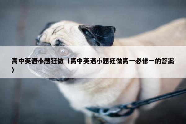 高中英语小题狂做（高中英语小题狂做高一必修一的答案）