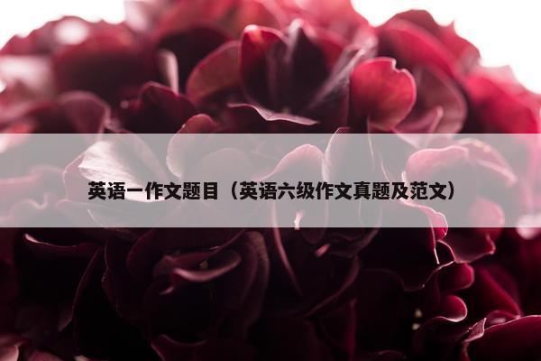 英语一作文题目（英语六级作文真题及范文）
