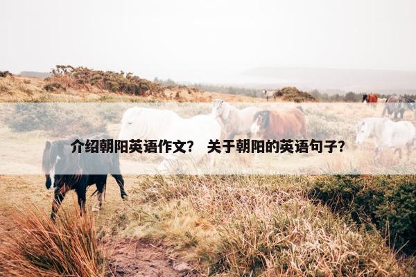 介绍朝阳英语作文？ 关于朝阳的英语句子？