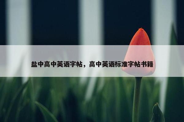 盐中高中英语字帖，高中英语标准字帖书籍