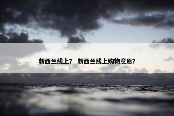 新西兰线上？ 新西兰线上购物意愿？