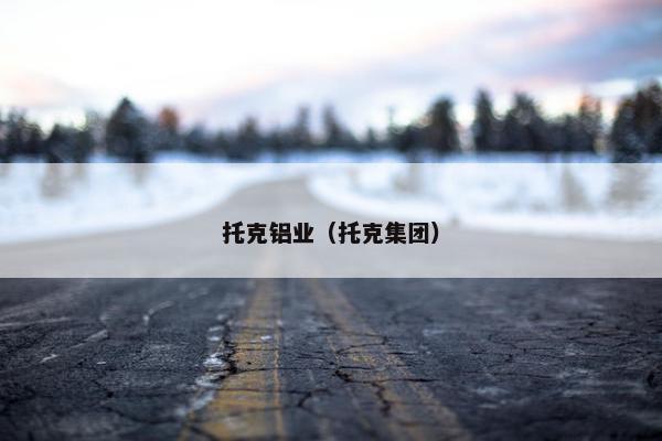 托克铝业（托克集团）