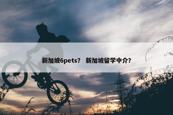 新加坡6pets？ 新加坡留学中介？