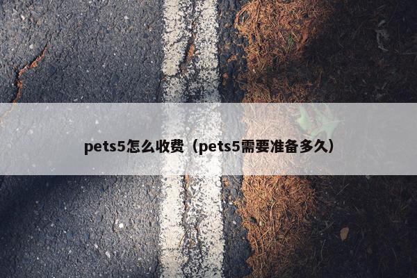 pets5怎么收费（pets5需要准备多久）