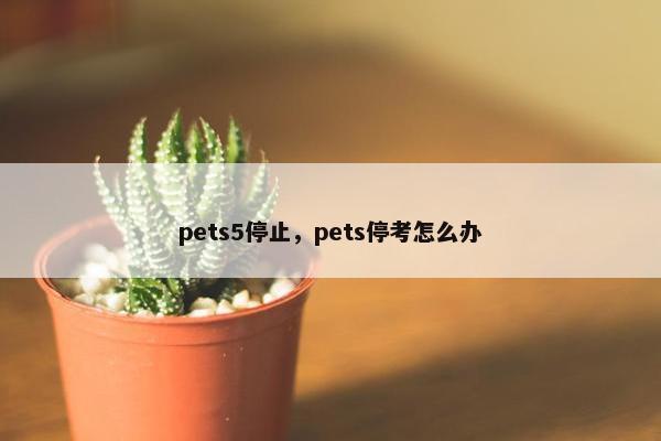pets5停止，pets停考怎么办