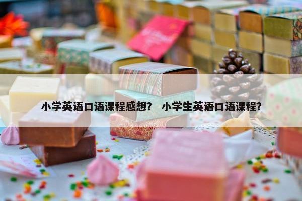 小学英语口语课程感想？ 小学生英语口语课程？