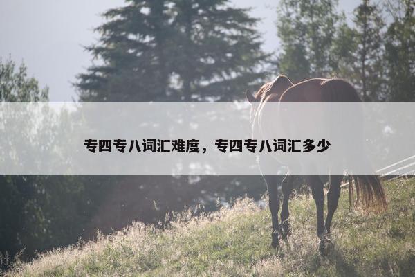 专四专八词汇难度，专四专八词汇多少