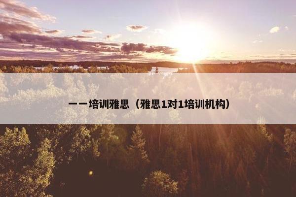 一一培训雅思（雅思1对1培训机构）