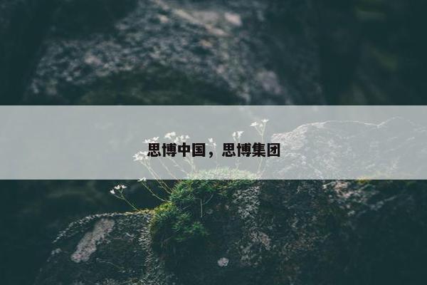 思博中国，思博集团