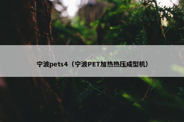 宁波pets4（宁波PET加热热压成型机）