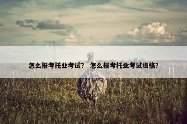 怎么报考托业考试？ 怎么报考托业考试资格？