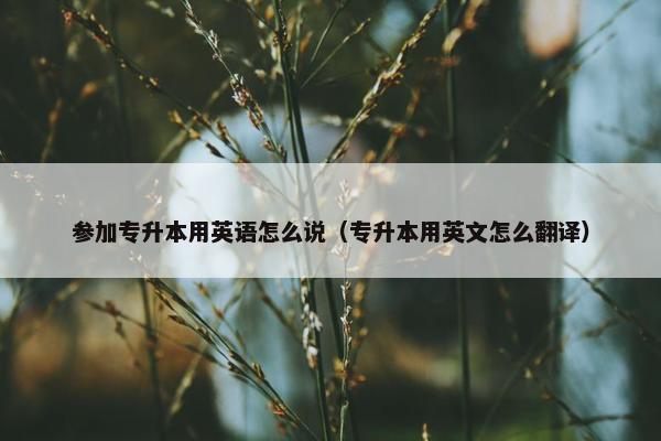 参加专升本用英语怎么说（专升本用英文怎么翻译）