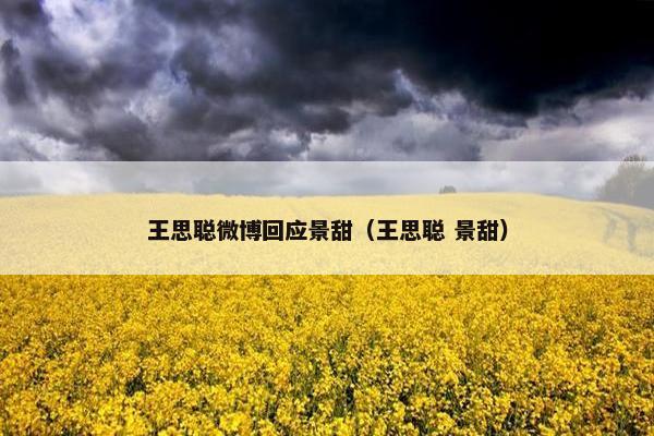 王思聪微博回应景甜（王思聪 景甜）