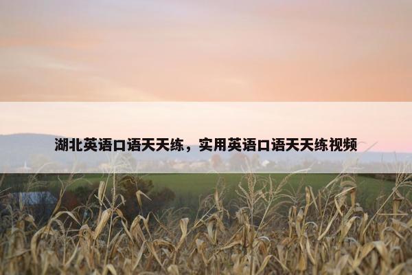 湖北英语口语天天练，实用英语口语天天练视频