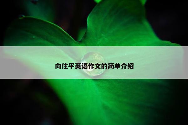 向往平英语作文的简单介绍