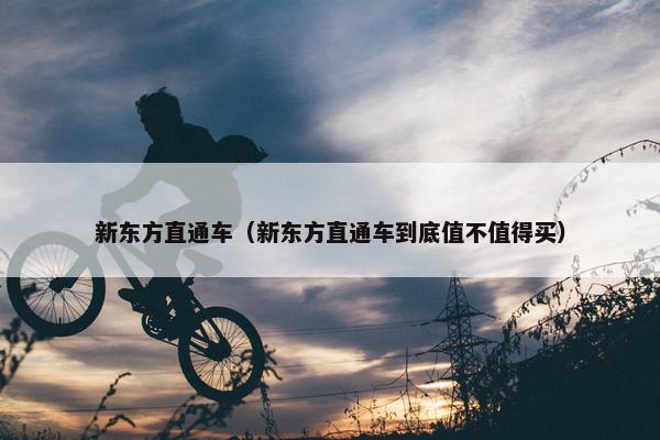 新东方直通车（新东方直通车到底值不值得买）