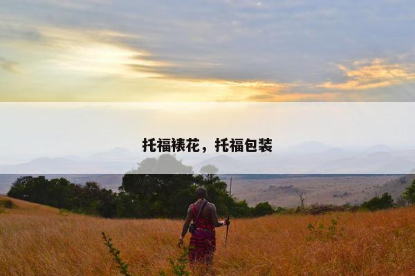 托福裱花，托福包装