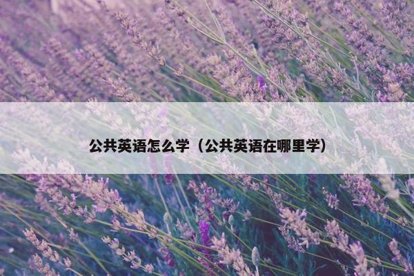 公共英语怎么学（公共英语在哪里学）