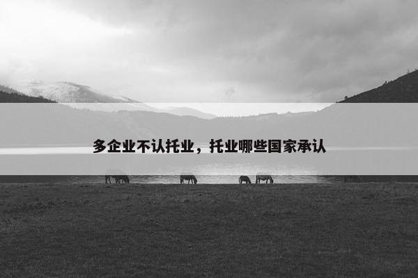 多企业不认托业，托业哪些国家承认