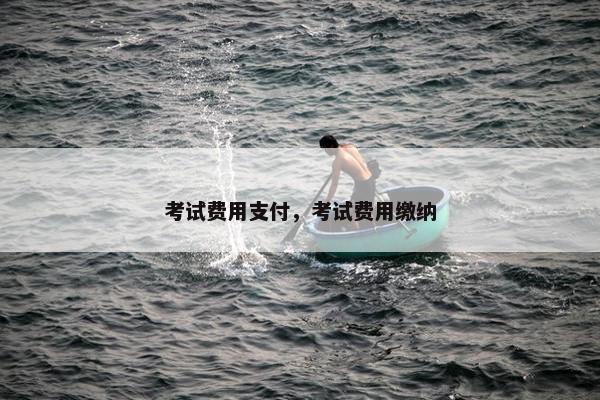 考试费用支付，考试费用缴纳