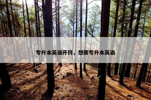 专升本英语开窍，想要专升本英语