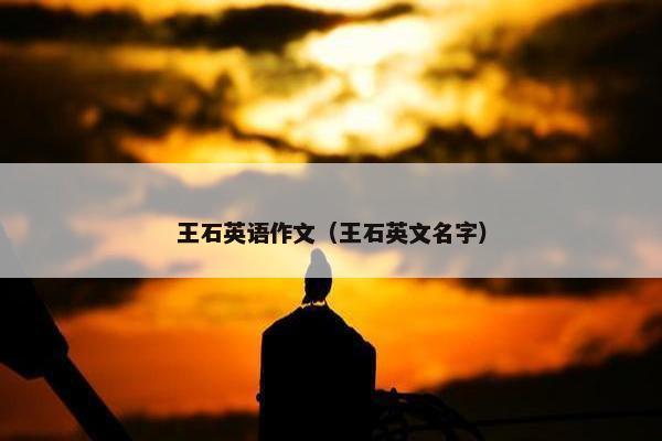 王石英语作文（王石英文名字）