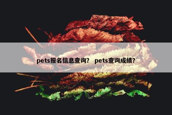 pets报名信息查询？ pets查询成绩？