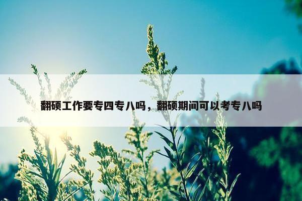 翻硕工作要专四专八吗，翻硕期间可以考专八吗