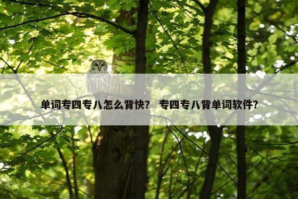 单词专四专八怎么背快？ 专四专八背单词软件？