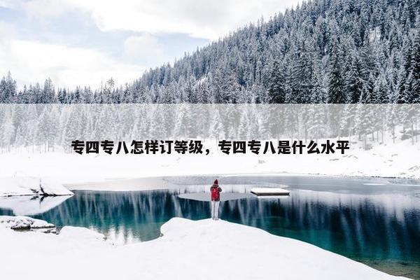 专四专八怎样订等级，专四专八是什么水平